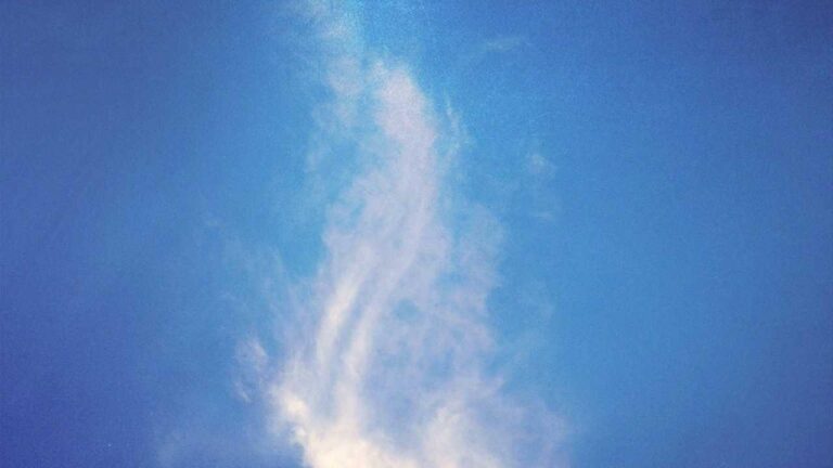 What Is The Connection Between 11Xplay Tiger And Tiger Exchange?