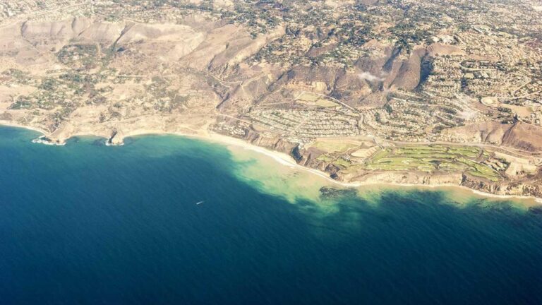 How Does The Cricbet99 Affiliate Program Work?